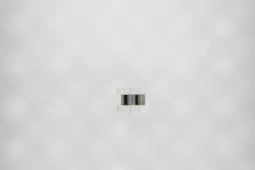 Fossil Urlænke CH2681 - 22mm - (2 stk.)